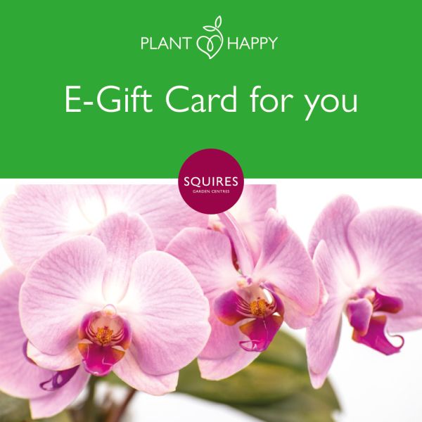 Squire's E-Gift Card - Orchid